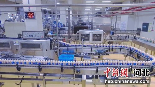 廊坊大廠 龍頭帶動打造都市食品產(chǎn)業(yè)集群鳳凰網(wǎng)河北 鳳凰網(wǎng)